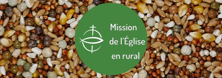 "Graine de Méteil" la lettre d'infos de la Mission de l'Église en rural